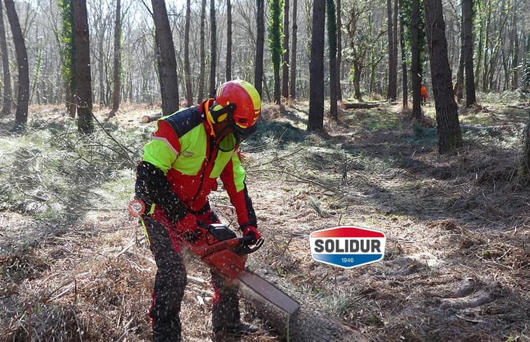 Émondeurs · Arboriculteurs · Bûcherons